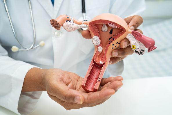 Understanding the Silent Battle Exploring Female Urinary Tract Infections